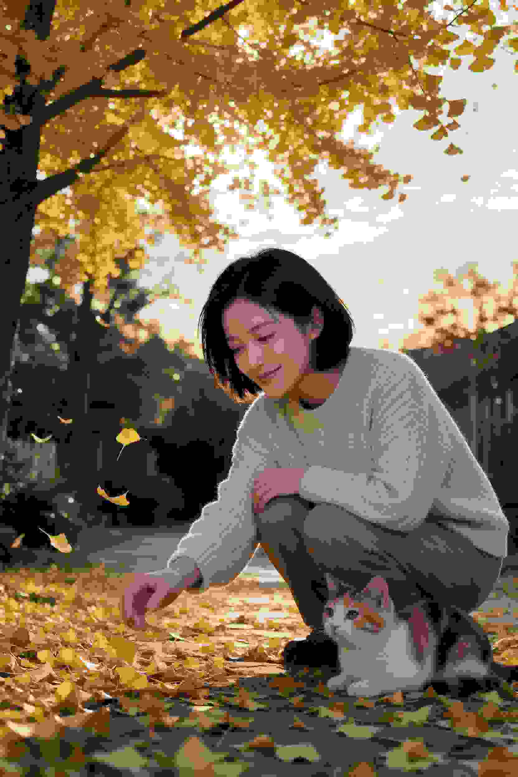 历史回溯