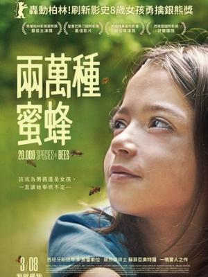 历史回溯